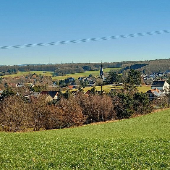 Blick über eine grüne Wiese Richtung Schwarzenholz. Ab Bildmitte sind die ersten Häuser zusehen. Schwarzenholz ist umrahmt von Natur.